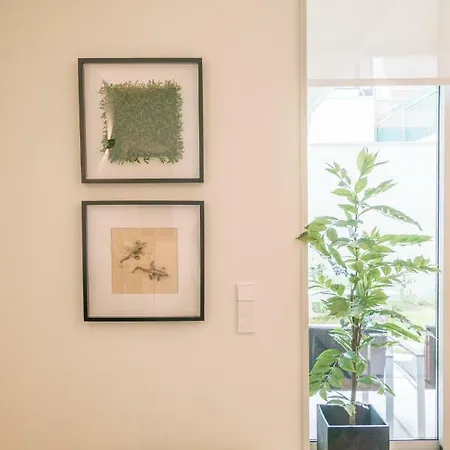 Courtyard & Elegance